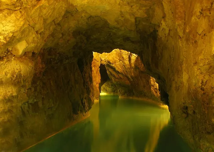 Kitty Мишкольц