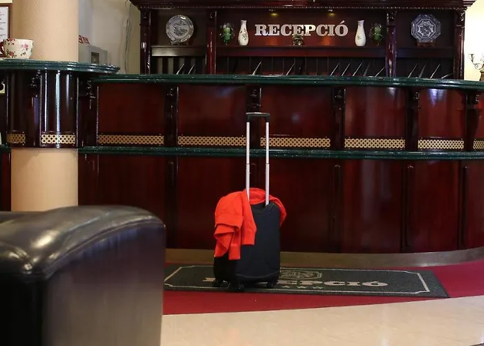 Kitty 3* ミシュコルツ